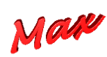 MAX Script Logo